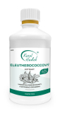 Eleutherococc EXTRAKT z koreňa eleutherococcu -500 ml