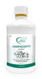 HERPAGOFYT EXTRAKT - na podporu pohybového aparátu - 500 ml