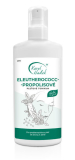 Eleuterokok.-propolisové tonikum – 70% alkoholu  - 200 ml